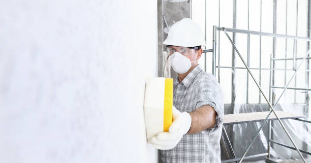 Best Biohazard Mold Removal  in Willoughby Hills, OH