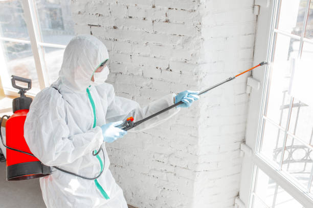 Best Forensic Mold Investigation  in Willoughby Hills, OH